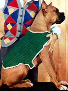 Dog Blanket | Dog Sweater