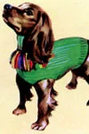 Free Dog Sweater Patterns