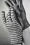 Sport Glove pattern